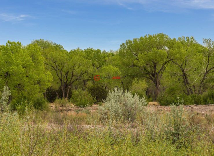 美国新墨西哥州Espanola的房产