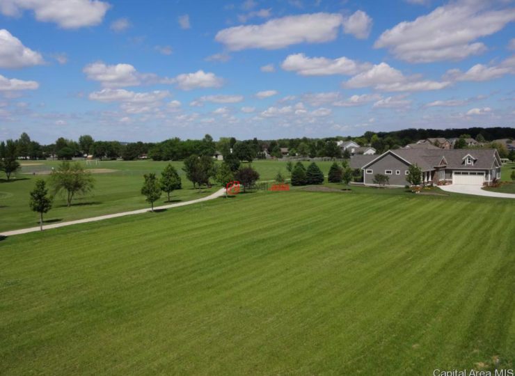 美国伊利诺伊州威廉斯维尔的房产