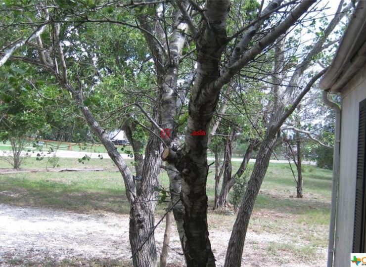 美国德克萨斯州圣马科斯3卧2卫的房产